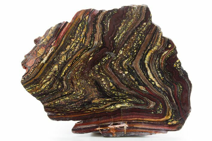 Polished Tiger Iron Stromatolite Slab - Billion Years #354896